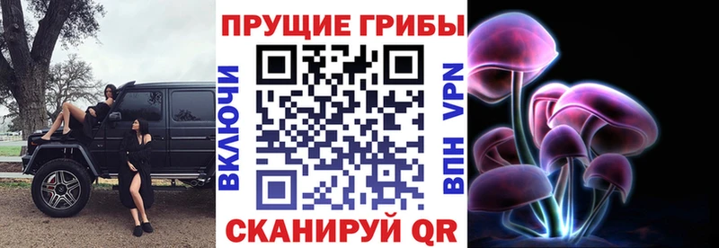 Псилоцибиновые грибы ЛСД  Ачхой-Мартан 